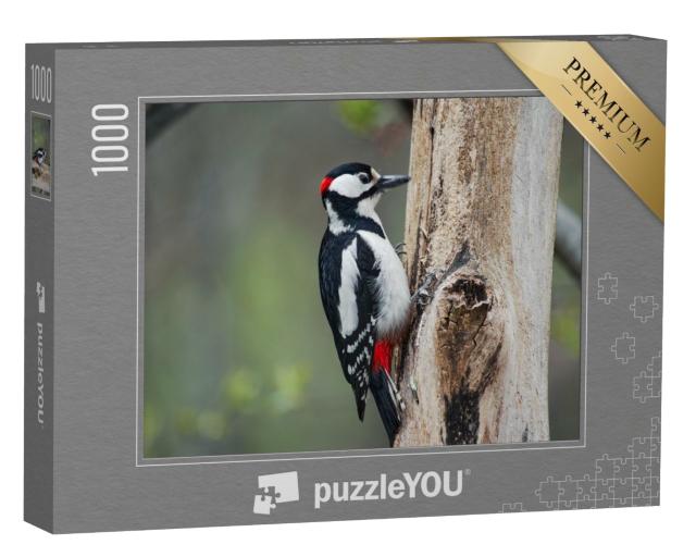 Puzzle 1000 Teile „Specht beim Klopfen am Baum“