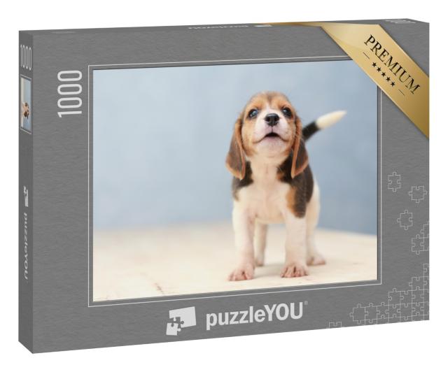Puzzle 1000 Teile „Kleiner niedlicher Beagle-Welpe “