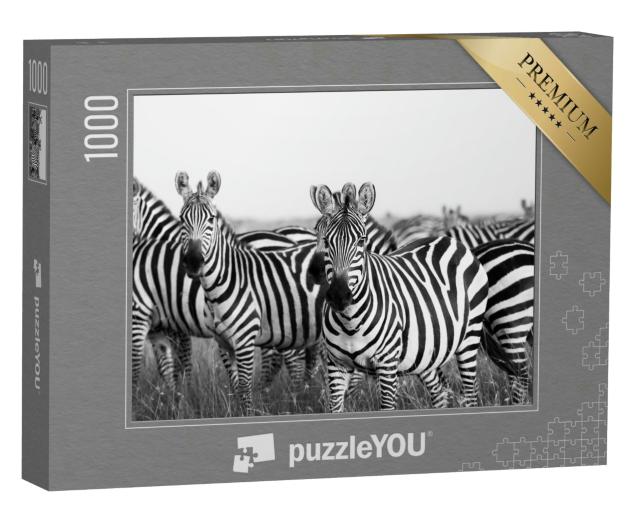 Puzzle 1000 Teile „Zebraherde in der Masai Mara“