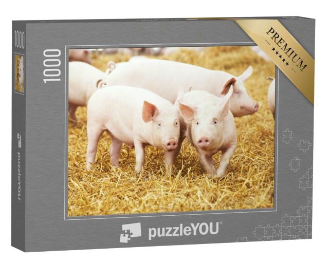 Puzzle 1000 Teile „Ferkel auf Heu und Stroh“