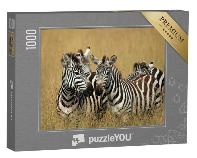 Puzzle 1000 Teile „Steppenzebras in der Savanne, Maasai Mara, Kenia“