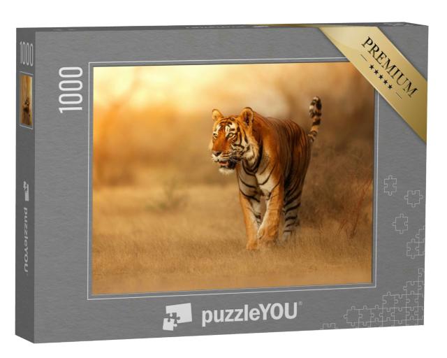 Puzzle 1000 Teile „Tiger in seinem natürlichen Lebensraum in Indien“