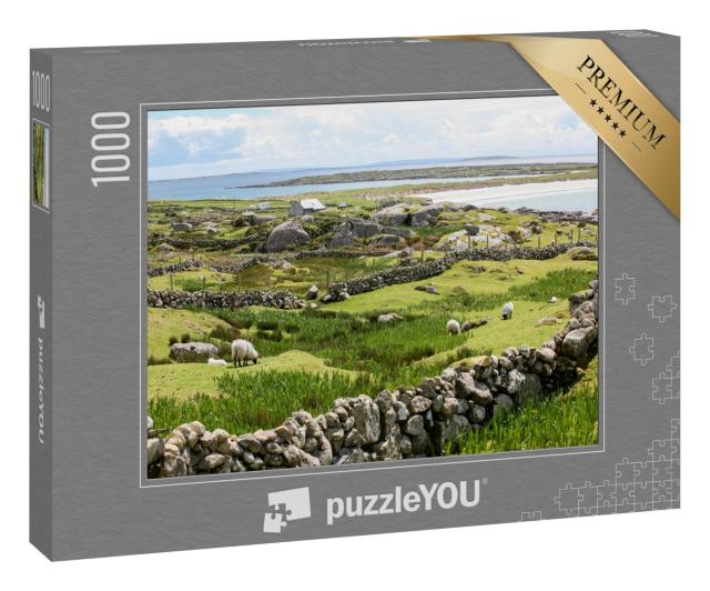 Puzzle 1000 Teile „Irische Steinmauern an der Küste“