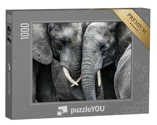 Puzzle 1000 Teile „Elefanten“
