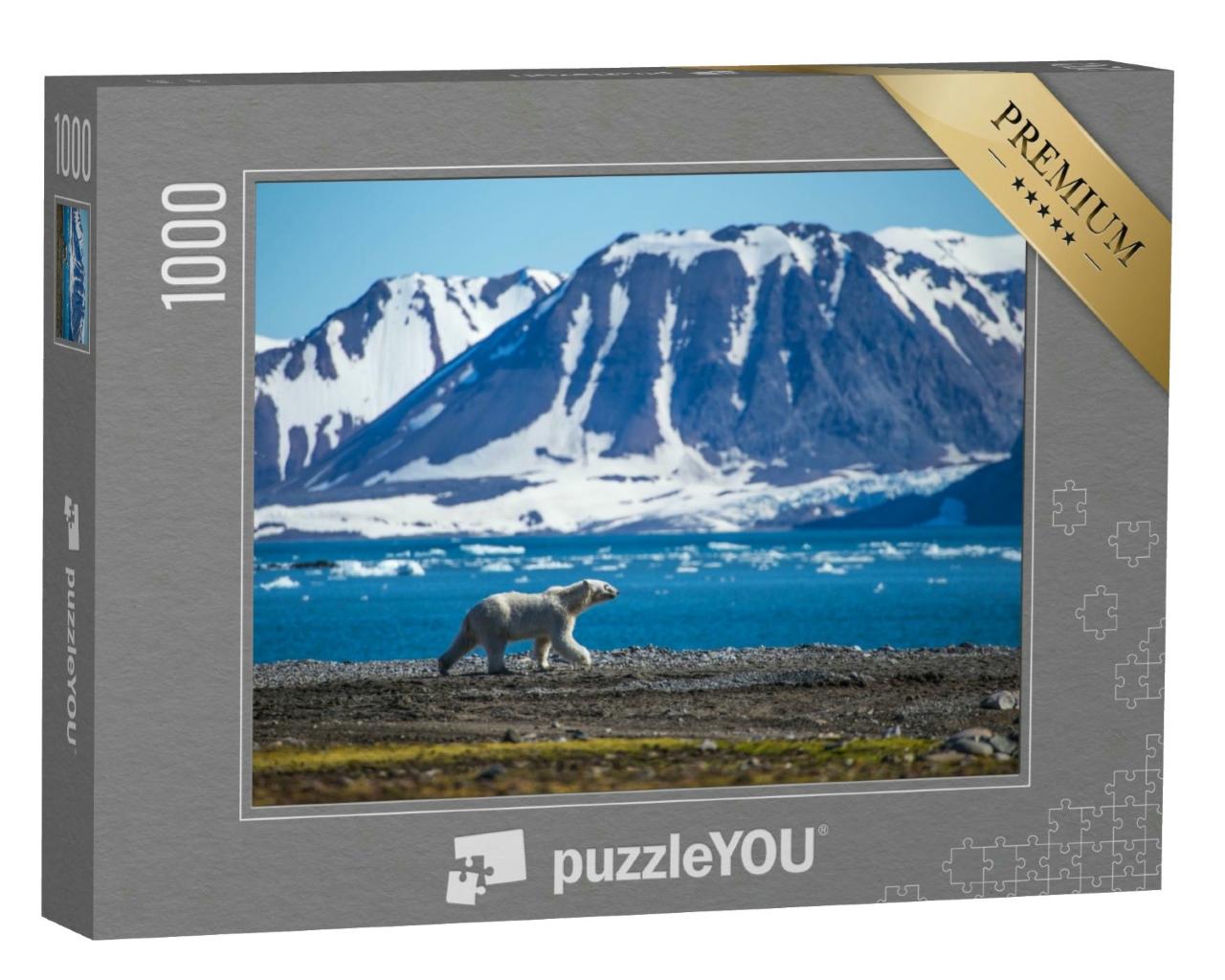 Puzzle 1000 Teile „Ein Eisbär im südlichen Spitzbergen“