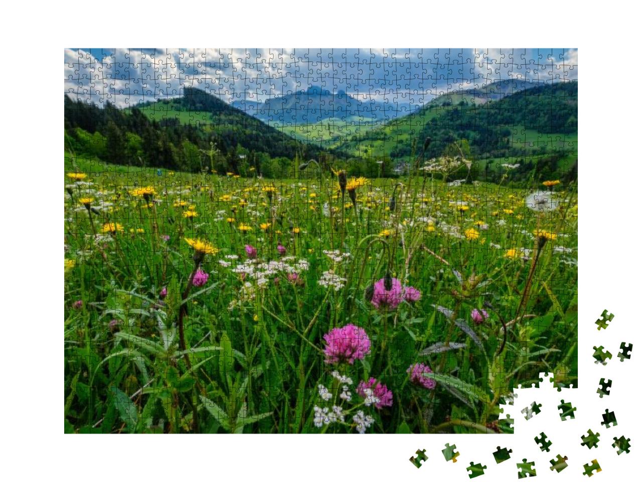 Puzzle 1000 Teile „Eine Wiese voller Bergblumen vor dem Hintergrund der Mala Fatra“