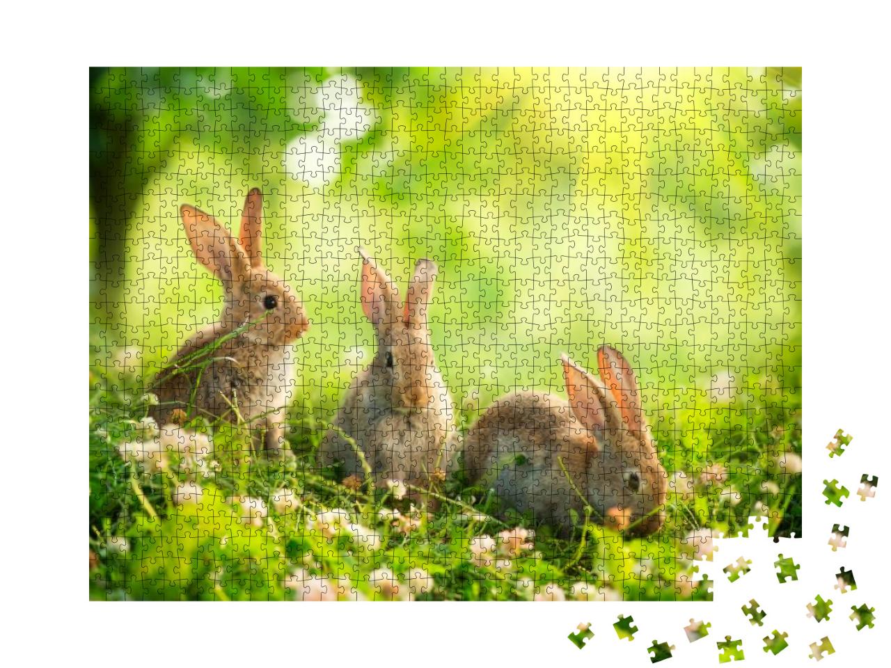 Puzzle 1000 Teile „Niedliche Kaninchen auf einer Frühlingswiese“