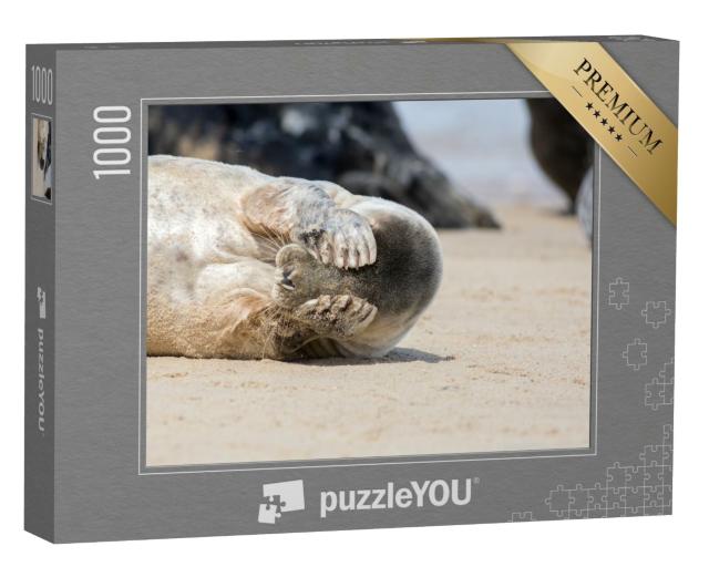 Puzzle 1000 Teile „Wo ist die kleine Robbe?“