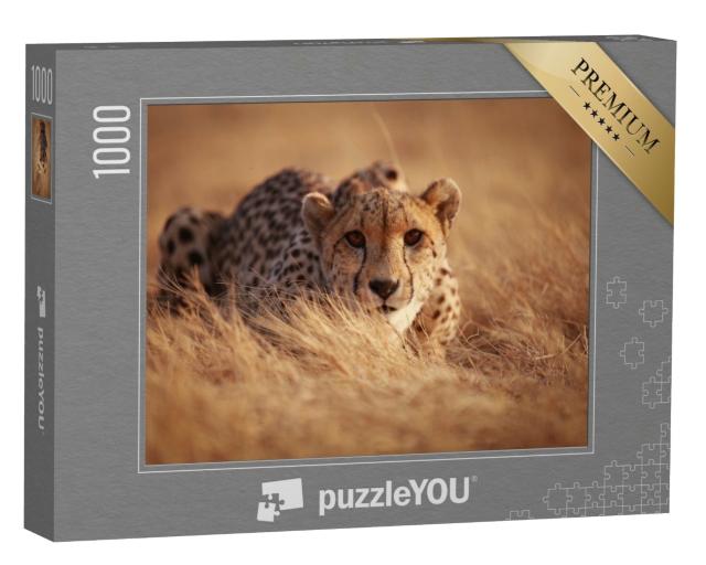 Puzzle 1000 Teile „Gepard, bereit zum Sprung“