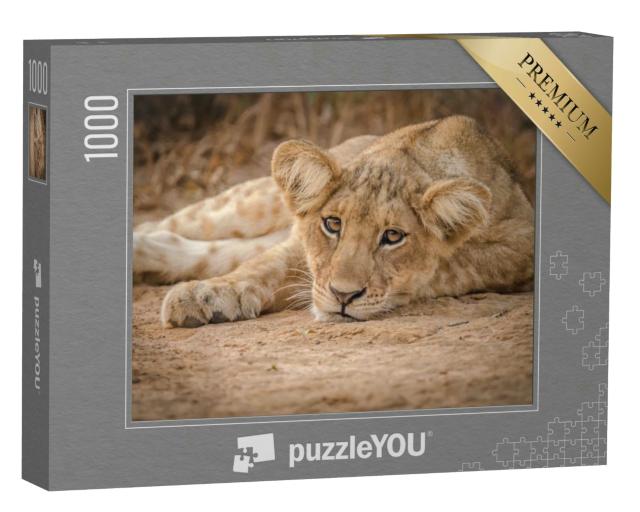 Puzzle 1000 Teile „Löwenjunges, Murchison Falls NP, Uganda“