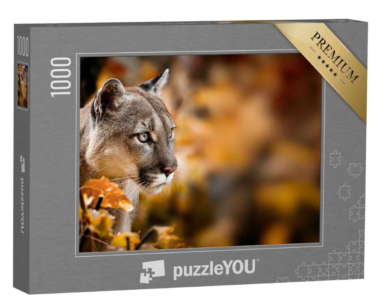 Puzzle 1000 Teile „Puma, auch bekannt als Berglöwe“