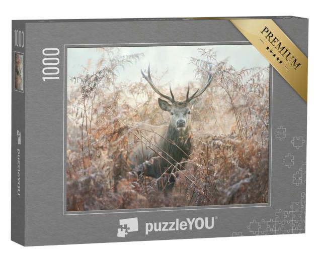 Puzzle 1000 Teile „Porträt eines Rothirsches an einem nebligen Herbstmorgen“