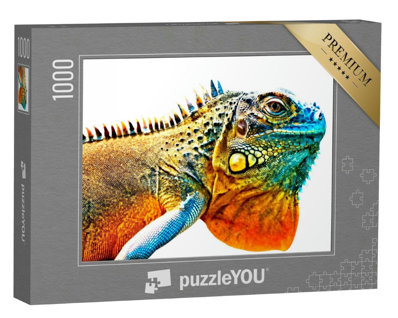 Puzzle 1000 Teile „Detailbild von einem bunten Leguan“