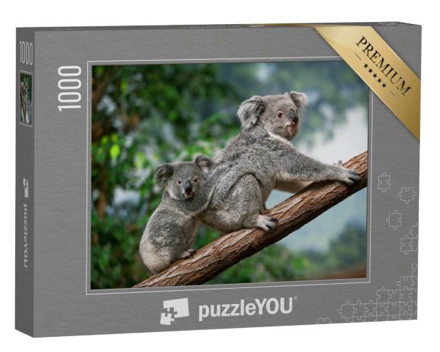 Puzzle 1000 Teile „Koala-Weibchen mit Jungtier“