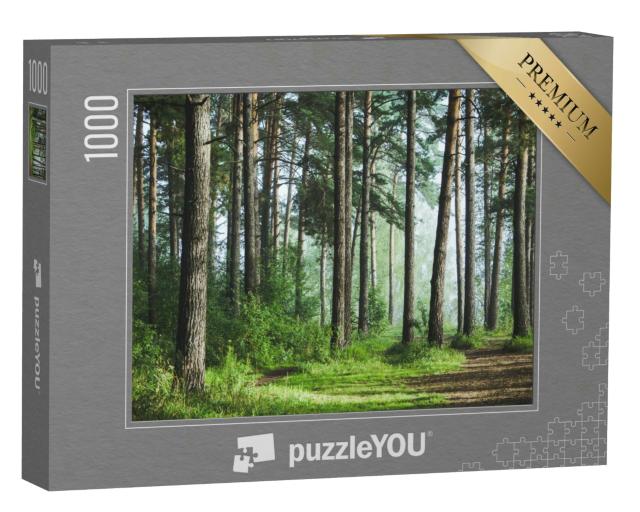 Puzzle 1000 Teile „Schöner Sommerwald mit grünem Gras und Waldboden“