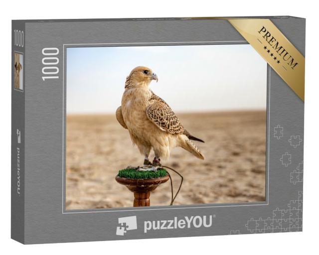 Puzzle 1000 Teile „Aufmerksamer Falke in der Wüste“