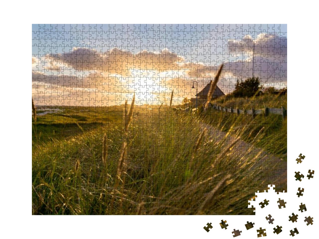 Puzzle 1000 Teile „Sonnenuntergang, der durch das Schilf in Amrum Deutschland scheint“