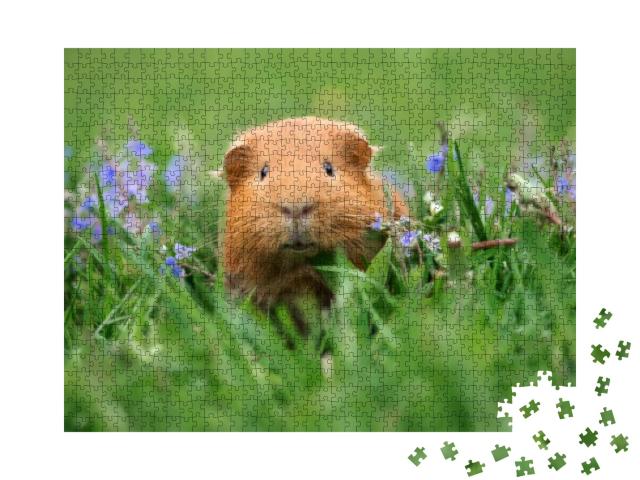 Puzzle 1000 Teile „Süßes Meerschweinchen im Gras“