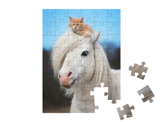 Puzzle 48 Teile „Kleines rotes Kätzchen auf dem Kopf eines weißen Shetlandponys“