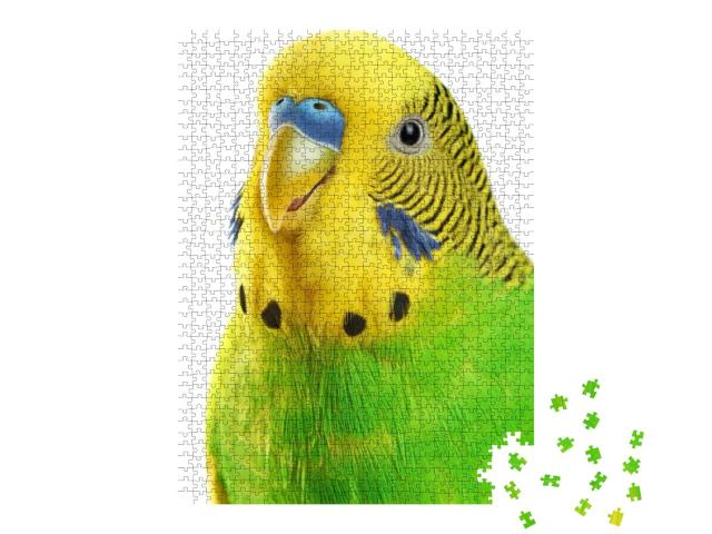 Puzzle 1000 Teile „Porträt eines gelbgrünen Wellensittichs“