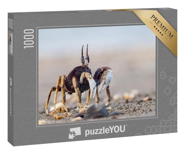 Puzzle 1000 Teile „Neugierige Krabbe am Sandstrand“