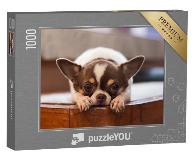 Puzzle 1000 Teile „Einsamer Hund “
