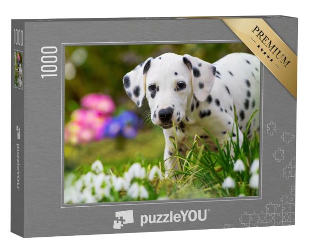 Puzzle 1000 Teile „Dalmatinerwelpe mit Frühlingsblumen“