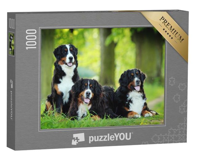 Puzzle 1000 Teile „Ein Berner Sennenhund“