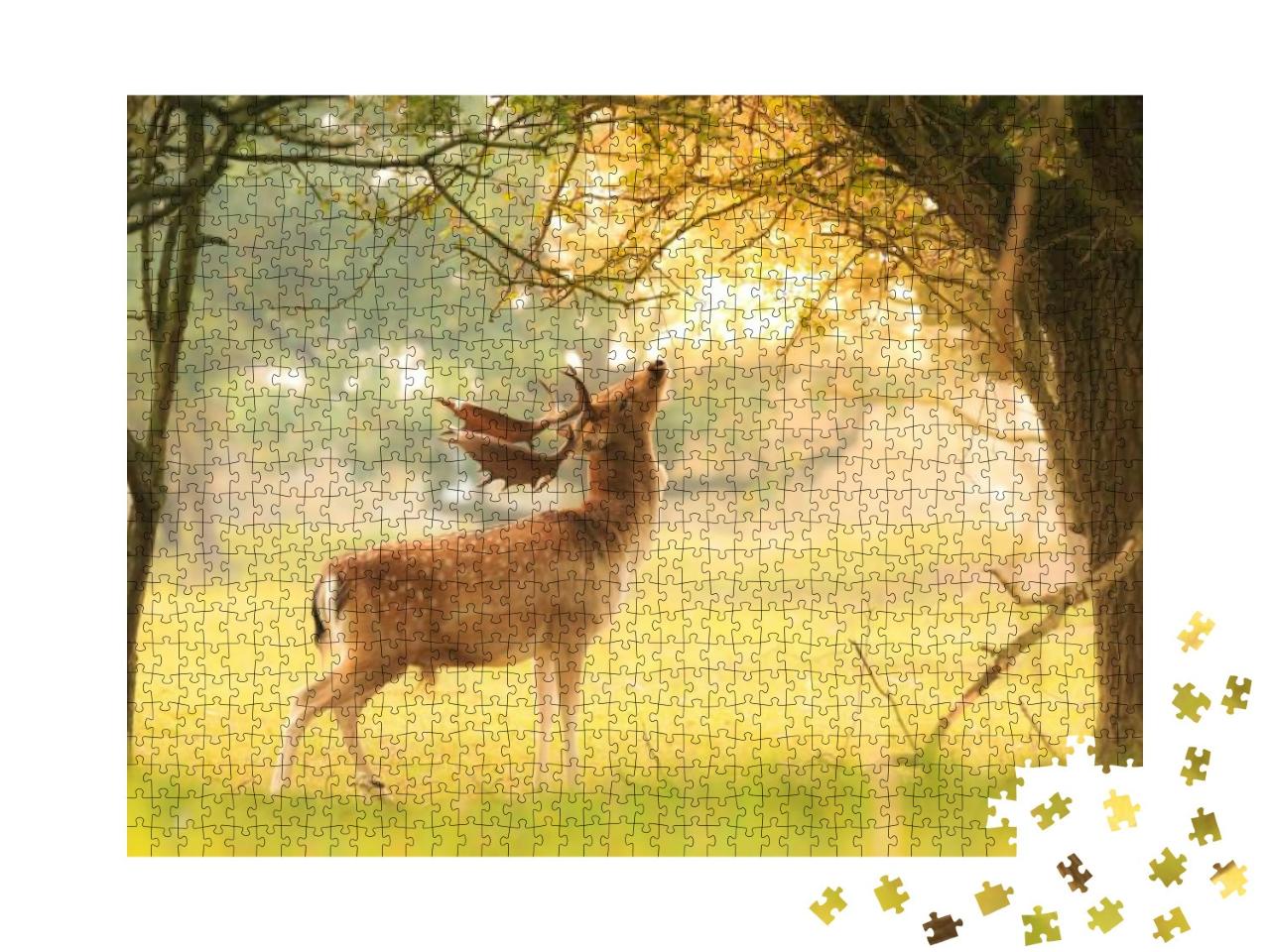 Puzzle 1000 Teile „Stolzer Damhirsch auf der Suche nach Blättern“