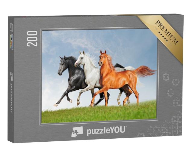Puzzle 200 Teile „Drei Araber-Pferde“