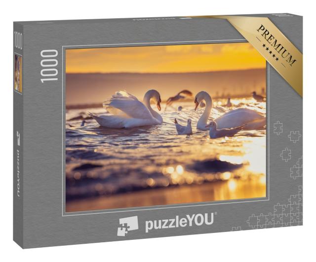 Puzzle 1000 Teile „Weiße Schwäne und Möwen im Sonnenaufgang“