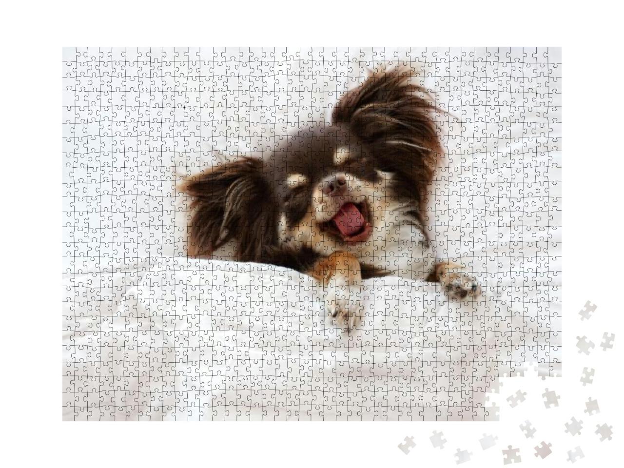 Puzzle 1000 Teile „Chihuahua-Hund schläft auf einem Kissen im Bett“