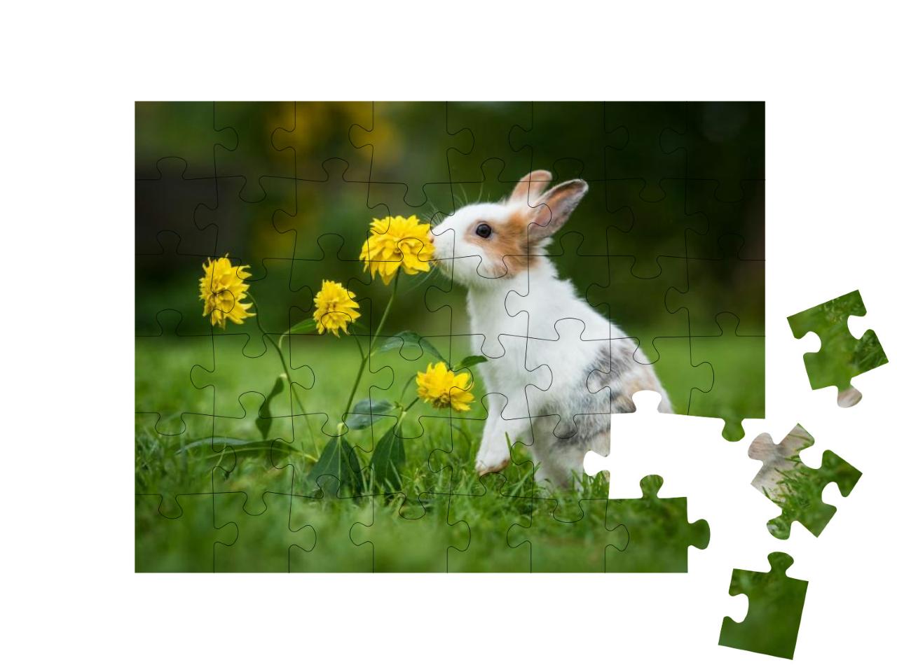 Puzzle 48 Teile „Kleines neugieriges Kaninchen“