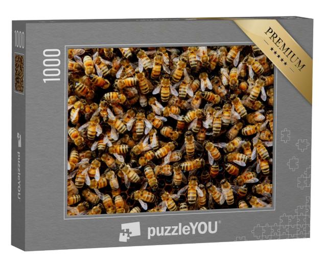 Puzzle 1000 Teile „Ein Bienenvolk versammelt sich um seine Königin“