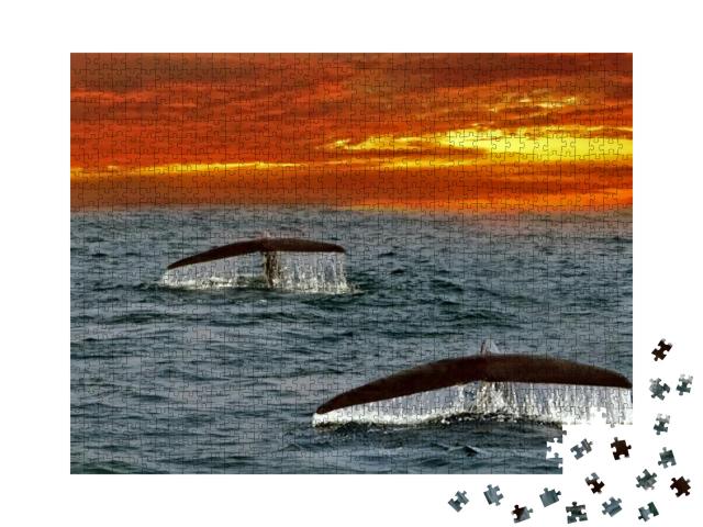 Puzzle 1000 Teile „Flossen von Blauwalen im Indischen Ozean, Sri Lanka“