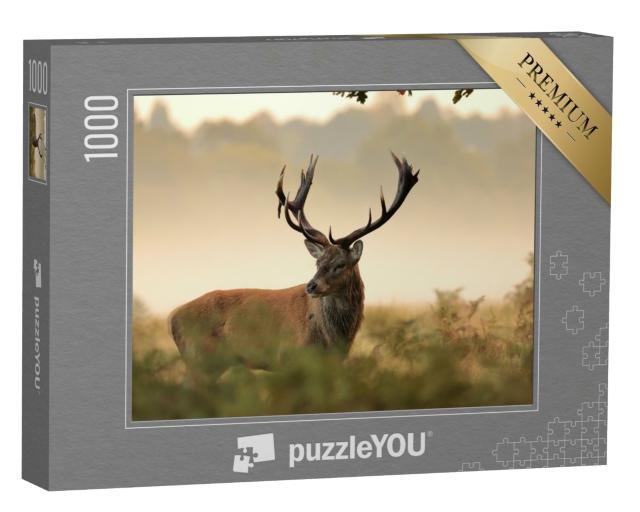 Puzzle 1000 Teile „Majestätischer Rothirsch in seinem natürlichen Lebensraum“