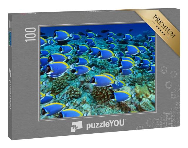 Puzzle 100 Teile „Schwarm von Doktorfischen im Korallenriff“