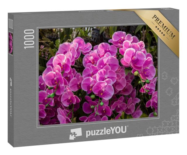 Puzzle 1000 Teile „Blütenmeer im Orchideengarten“