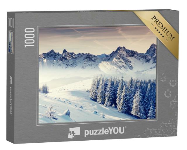 Puzzle 1000 Teile „Fantastische Winterlandschaft. Dramatisch bedeckter Himmel. Kreative Collage. Welt der Schönheit“