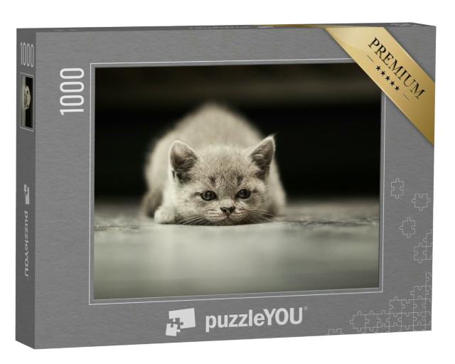 Puzzle 1000 Teile „Eine kleine Katze“