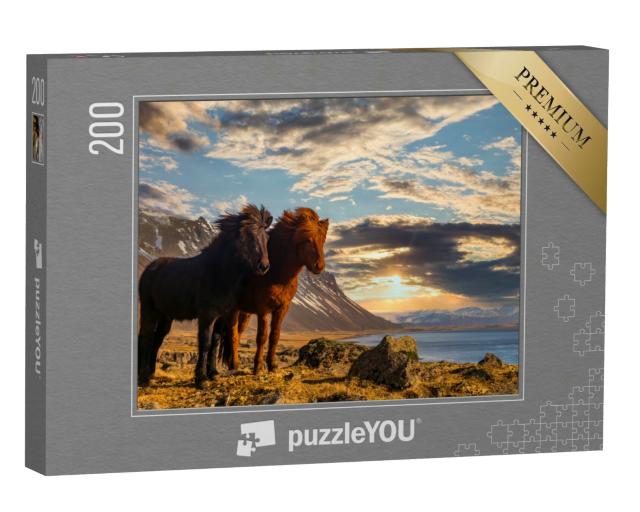 Puzzle 200 Teile „Zwei Island-Pferde an der Küste im Sonnenuntergang“