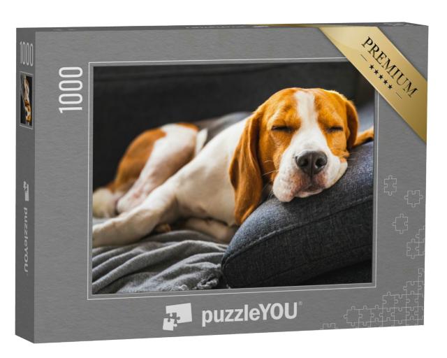 Puzzle 1000 Teile „Ein Beagle auf dem Sofa “