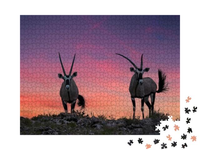 Puzzle 1000 Teile „Zwei große Antilopen mit spektakulären Hörnern, Kalahari“