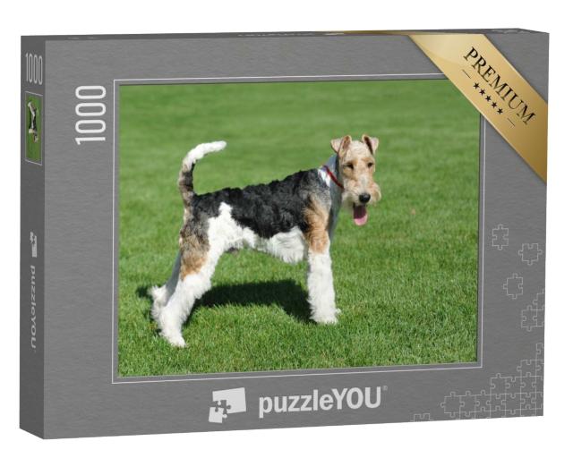Puzzle 1000 Teile „Drahthaar-Foxterrier“