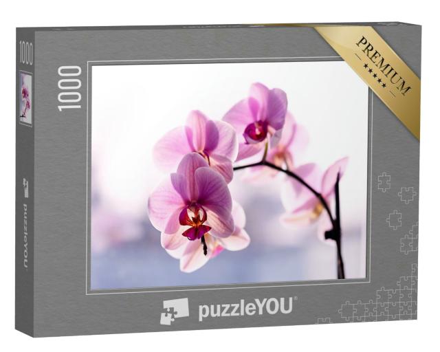 Puzzle 1000 Teile „Wunderschöne zarte Orchidee in Rosa“