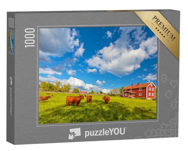 Puzzle 1000 Teile „Hochlandrinder vor alten Holzbauernhäusern, Smaland, Schweden“