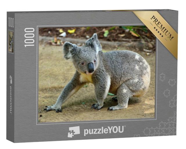 Puzzle 1000 Teile „Nahaufnahme eines Koalas“