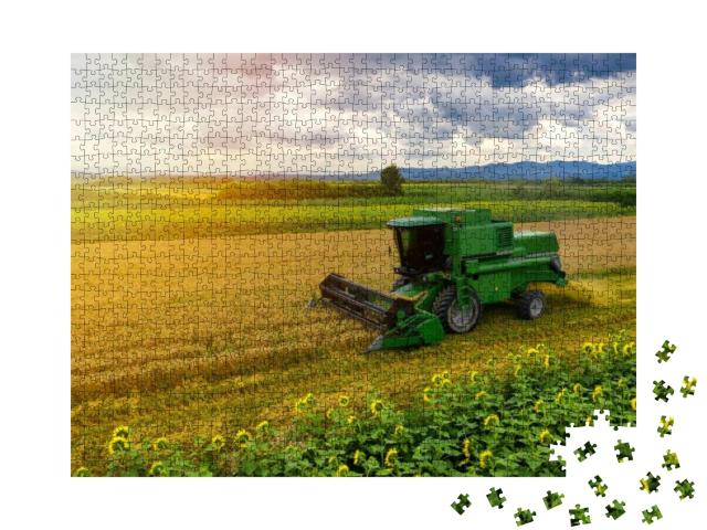 Puzzle 1000 Teile „Mähdrescher bei der Arbeit auf dem Weizenfeld“
