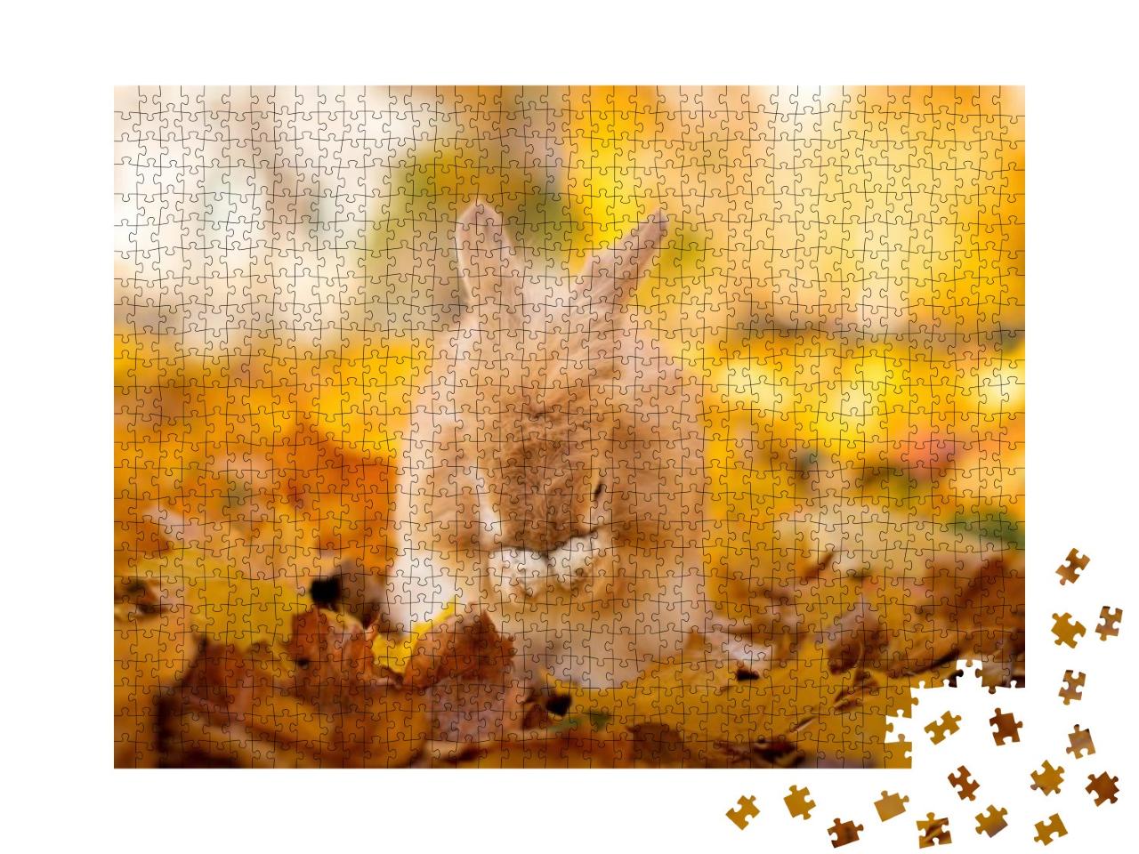 Puzzle 1000 Teile „Niedliches Kaninchen im goldenen Herbstlaub“