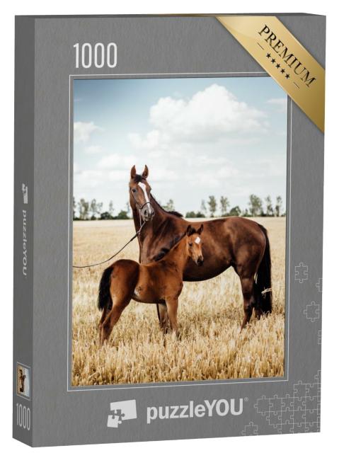 Puzzle 1000 Teile „Wunderschöne Fuchsstute mit Fohlen“